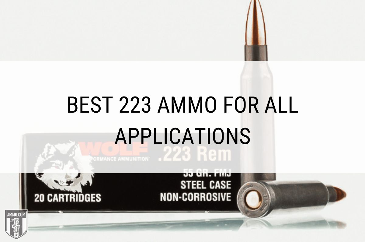 Best 223 Ammo for All Applications