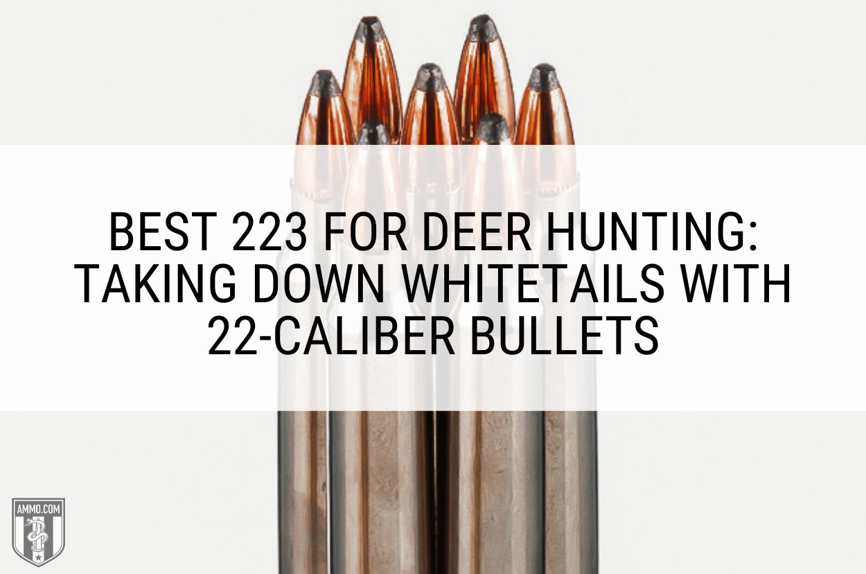 Best 223 for Deer Hunting