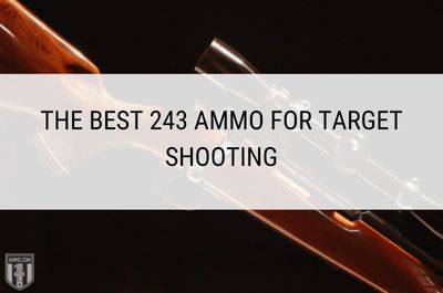 The Best 243 Ammo for Target Shooting