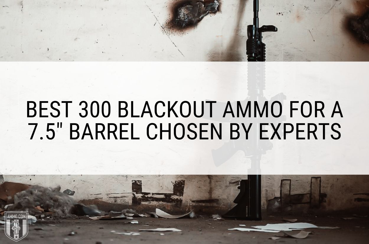 Best 300 Blackout Ammo for a 7.5