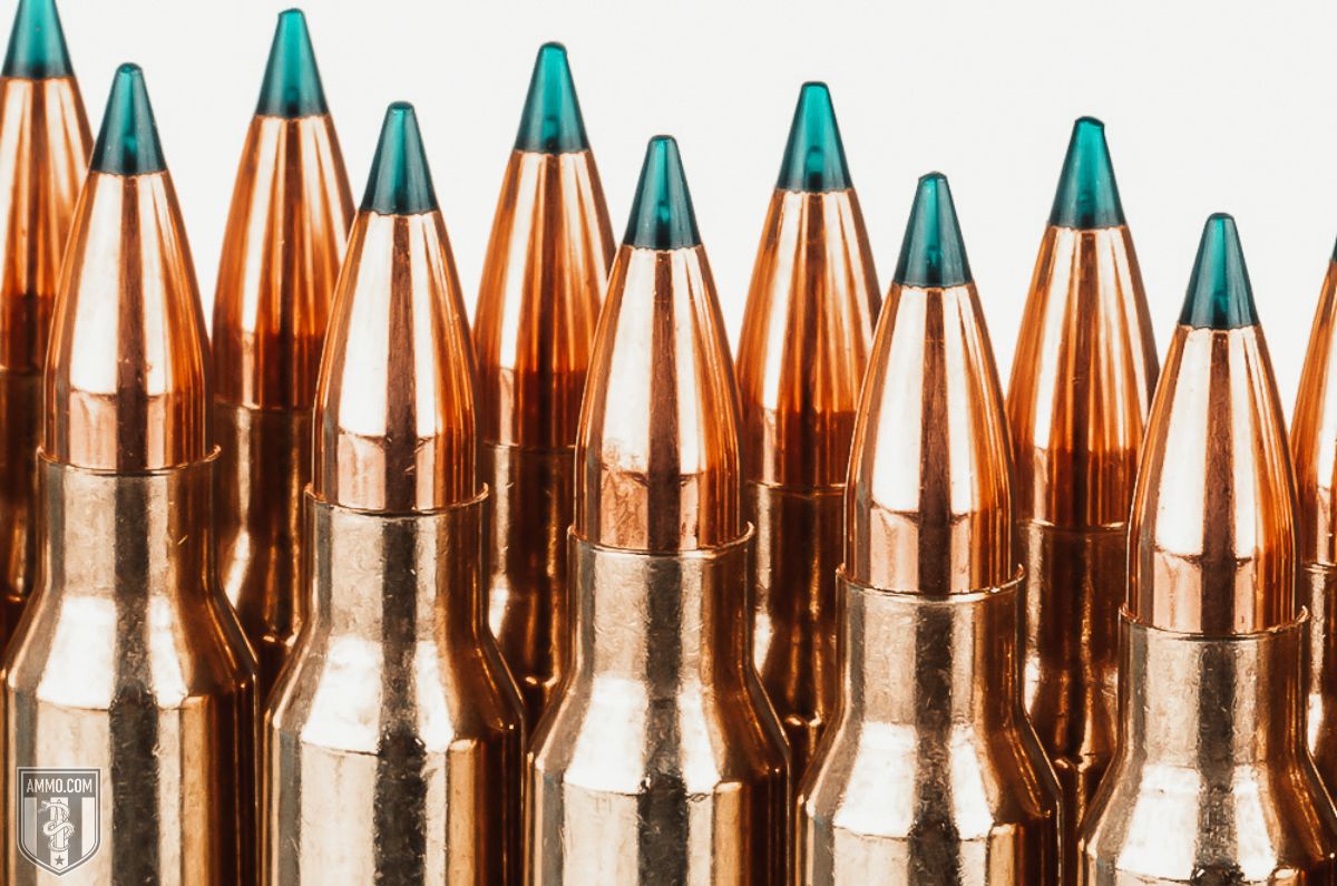 300 Win Magnum ammo for sale