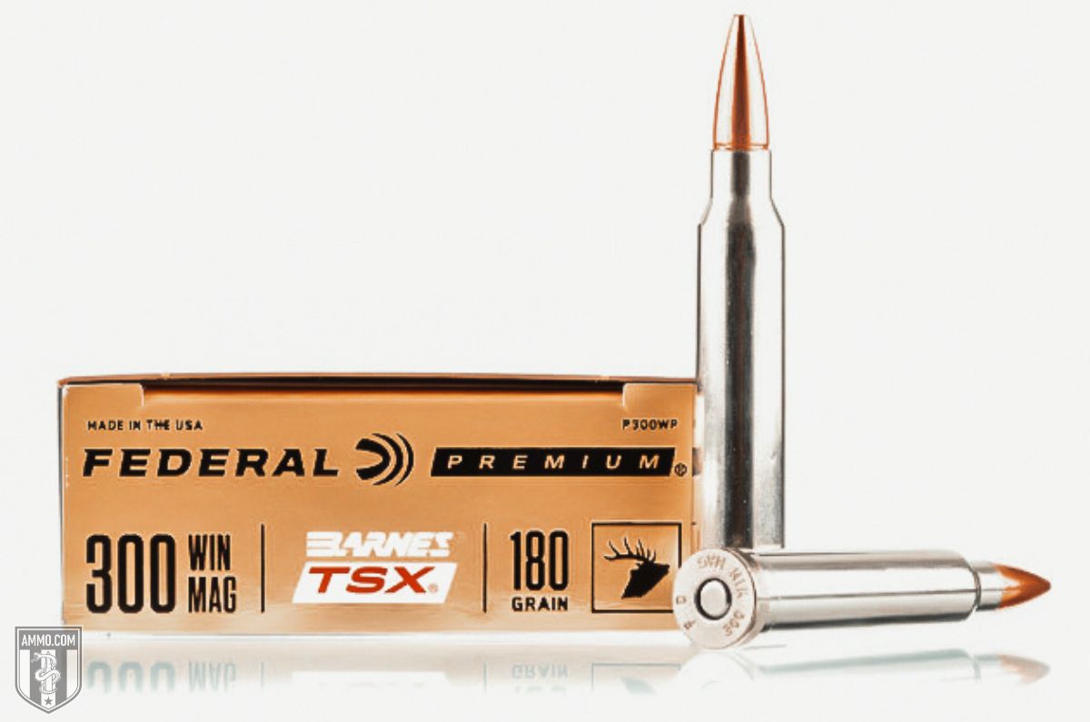 Federal 300 Win Mag ammo for sale