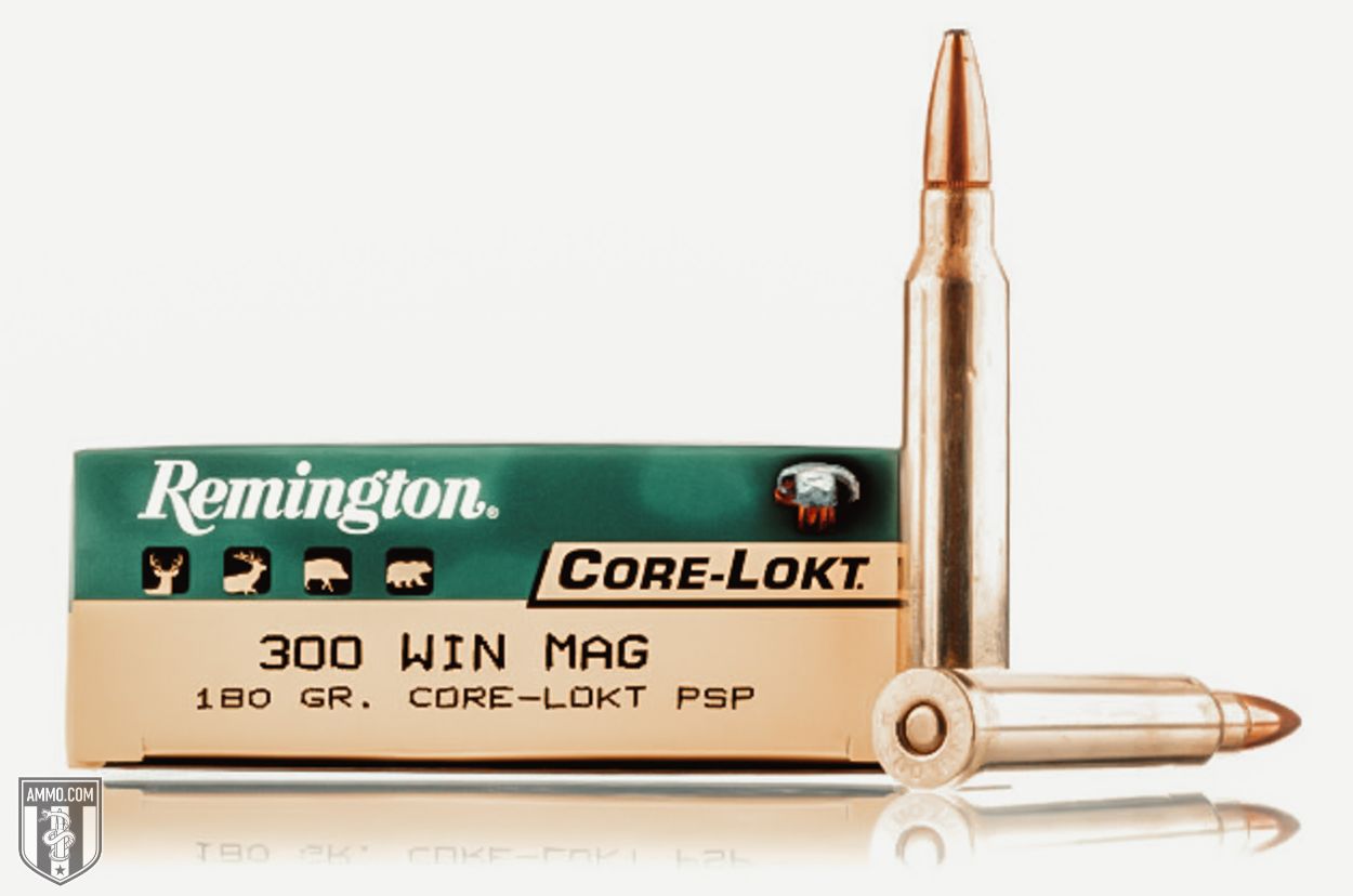 Remington 300 Win Mag ammo for sale