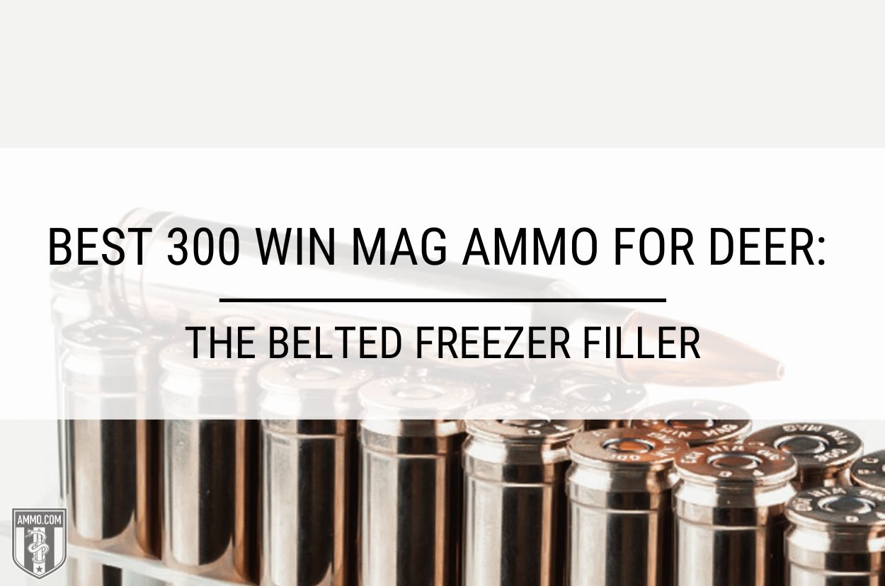 Best 300 Win Mag Ammo for Deer