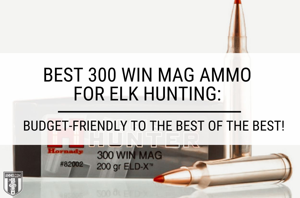 Best 300 Win Mag Ammo For Elk Hunting