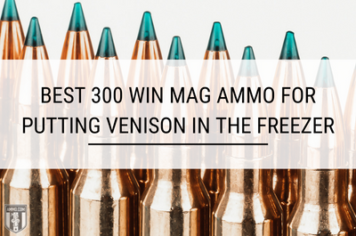 Best 300 Win Mag Ammo for Putting Venison in The Freezer