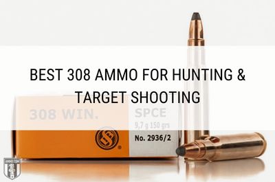 Best 308 Ammo For Hunting & Target Shooting