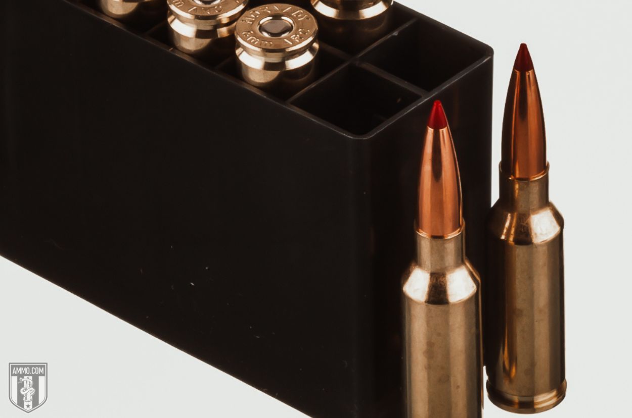 The Top 13 Best AR Calibers That Aren’t 5.56 NATO – The Burning Platform