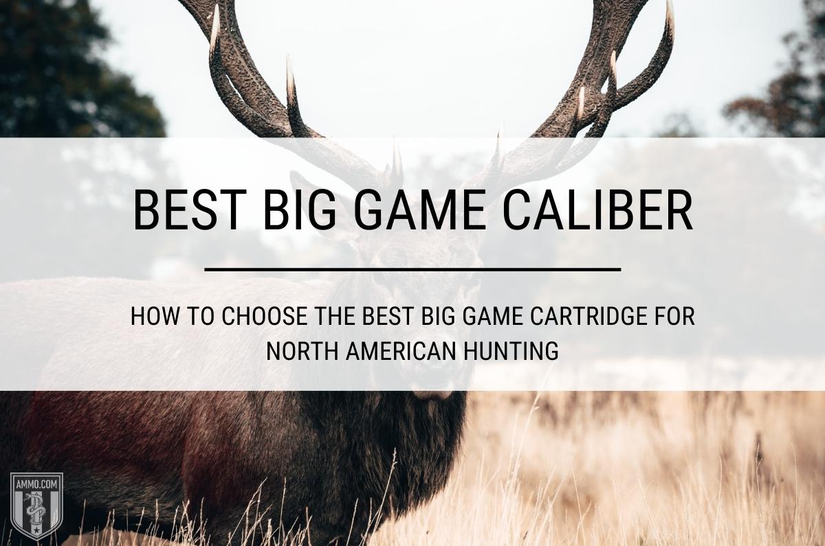 Best Big Game Caliber - Choose the Best Big Game Cartridge