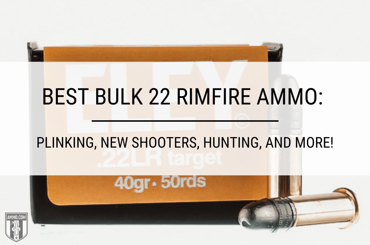 Best Bulk 22 Rimfire Ammo