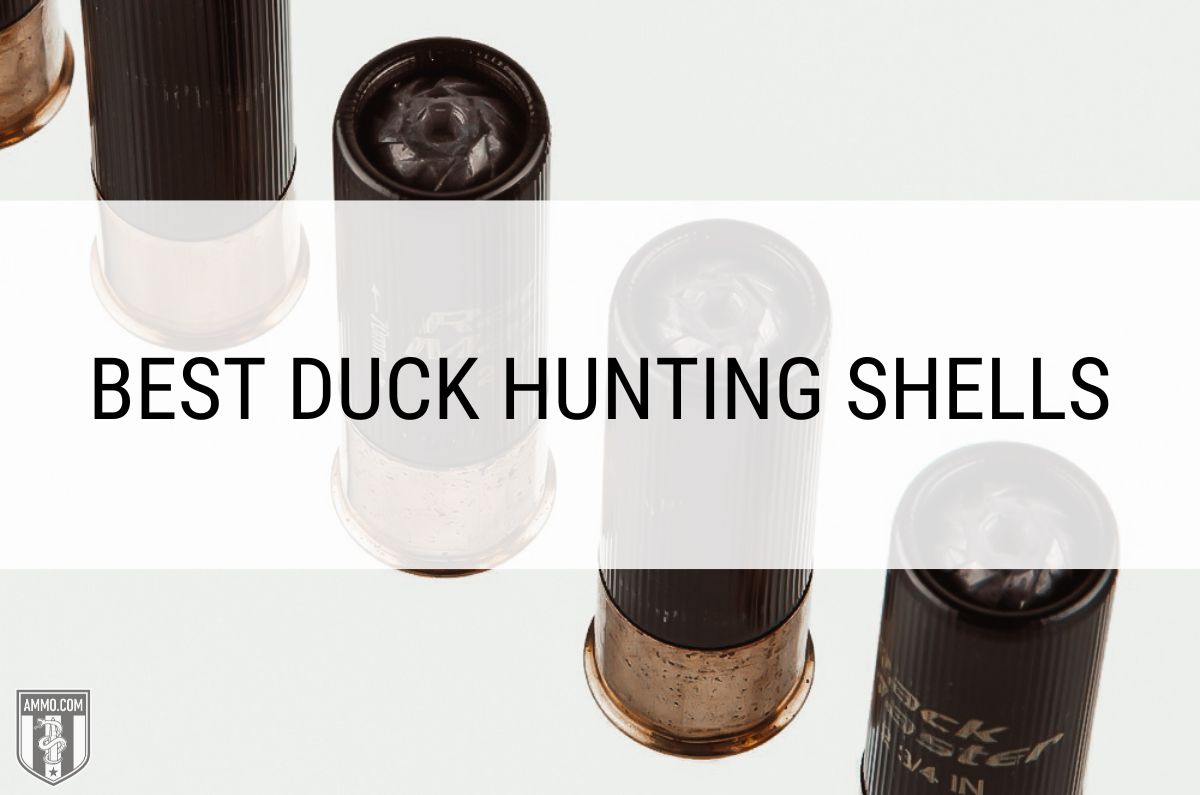 Best Duck Hunting Shells
