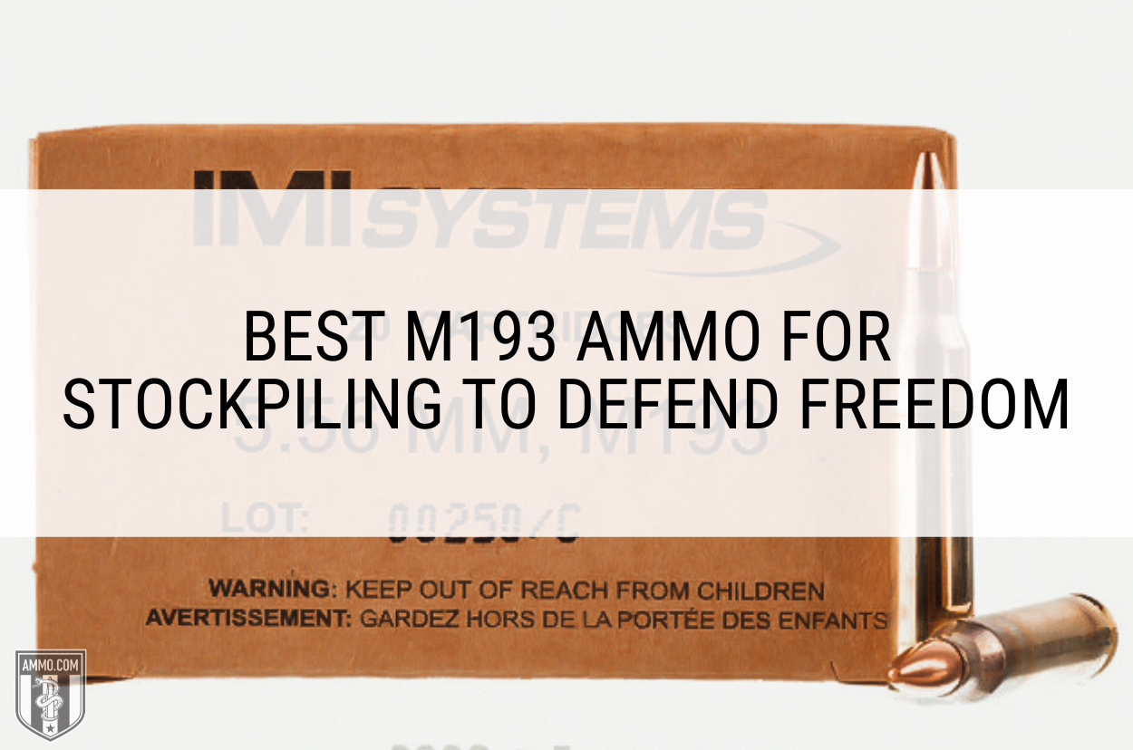 Best M193 Ammo for Stockpiling