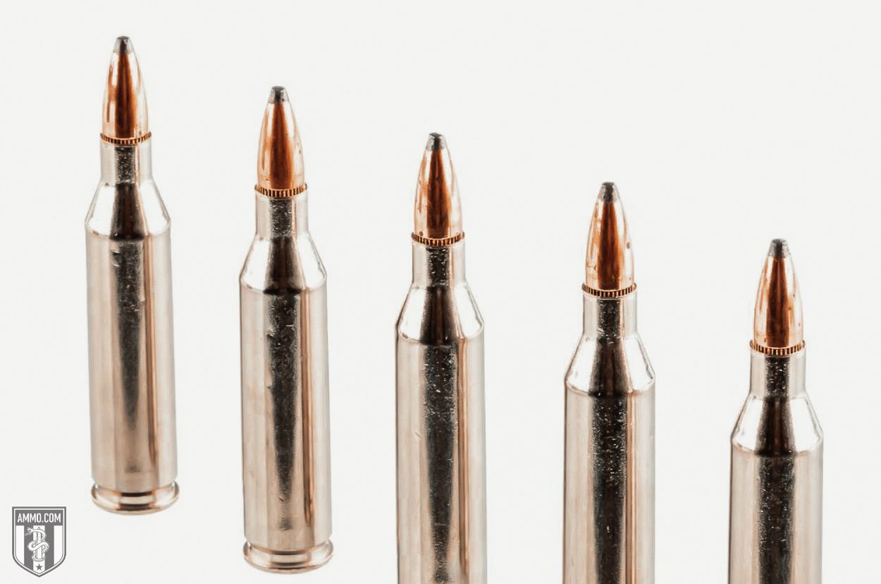 338 Lapua bullet