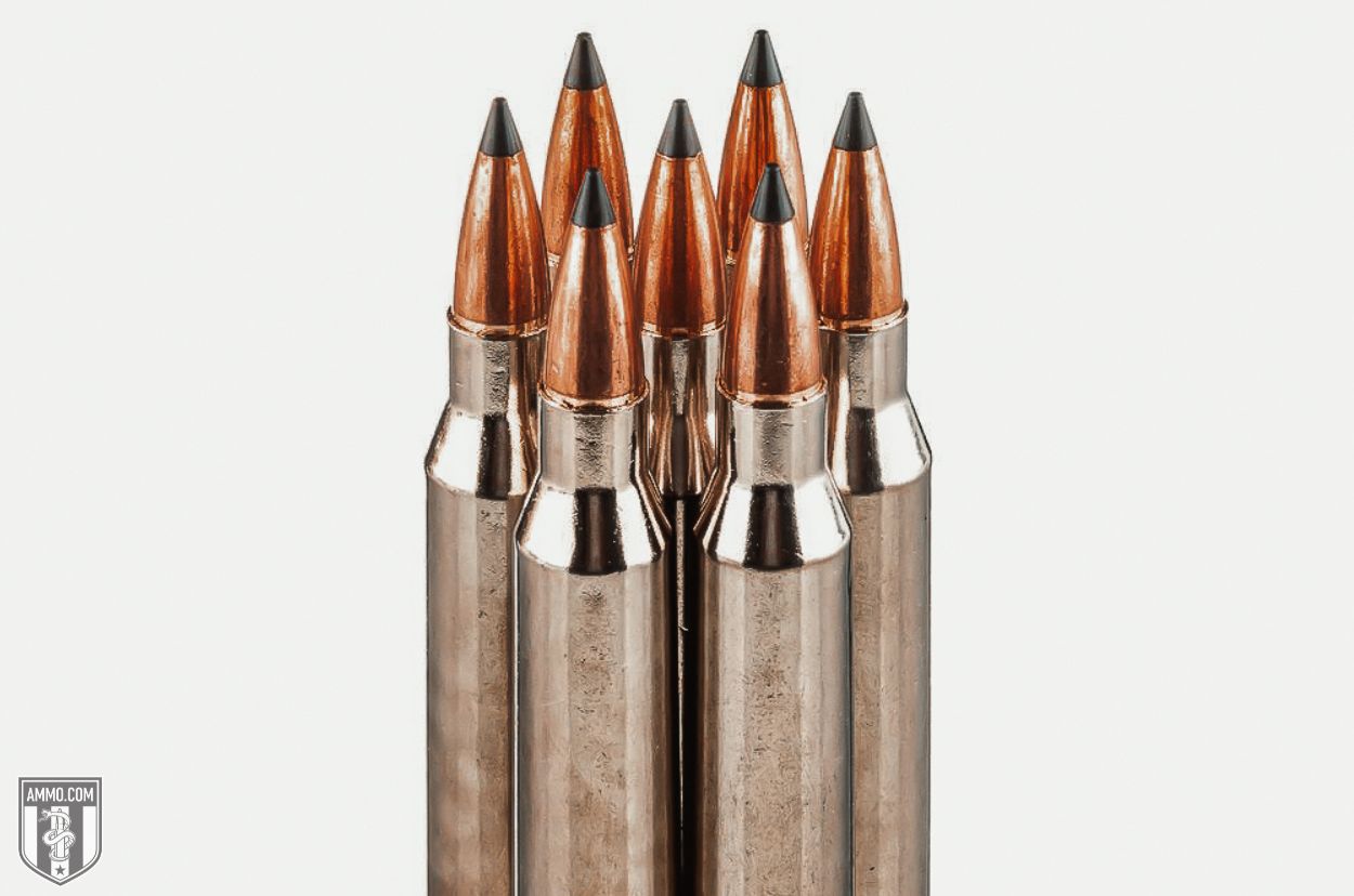 Top 10 Best Sniper Rifle Cartridges for When You Need to Make the Shot