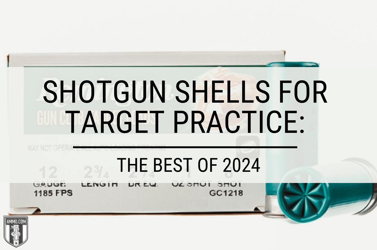 Shotgun Shells for Target Practice