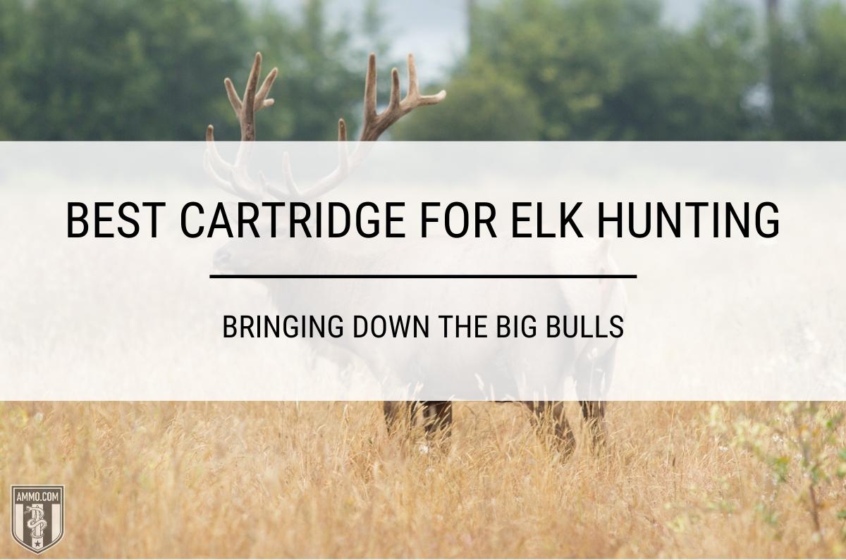 Best Elk Cartridge