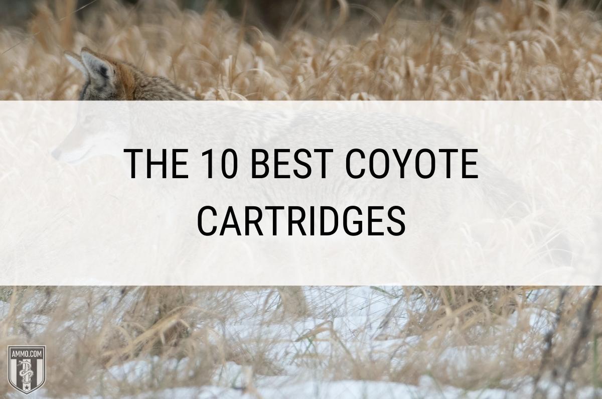 The 10 Best Coyote Cartridges