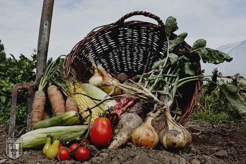 Keeping Food Safe During an Emergency: A Disaster Guide