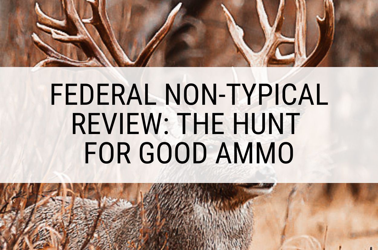 Federal Non-Typical Review