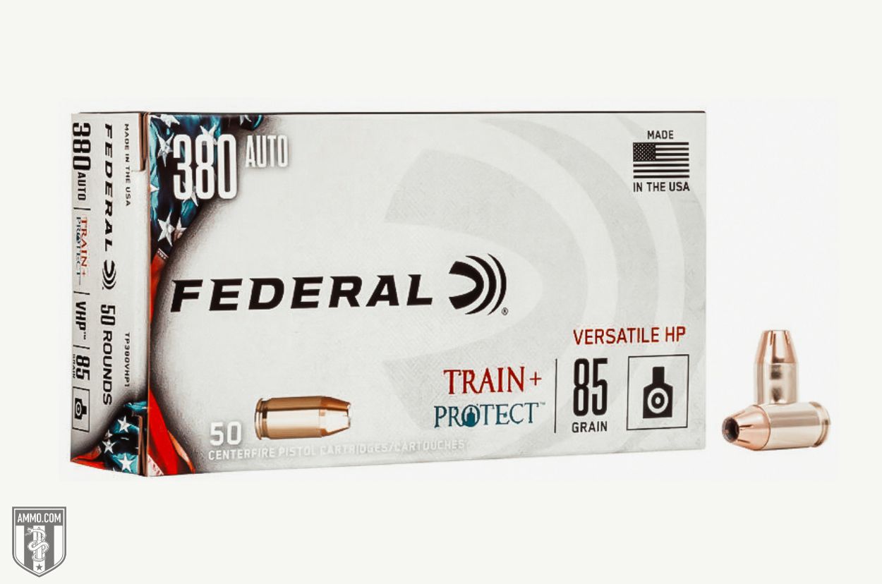Federal Training 380 Auto Train + Protect