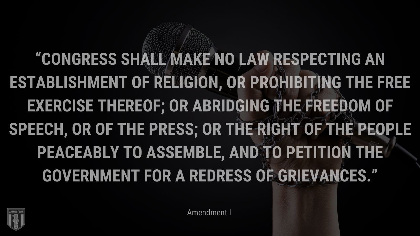 “Congress shall make no law respecting an establishment of religion, or prohibiting the free exercise thereof; or abridging the freedom of speech, or of the press; or the right of the people peaceably to assemble, and to petition the Government for a redress of grievances.” - Amendment I