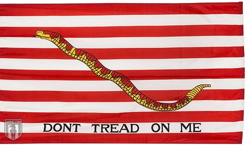 The First Navy Jack Flag