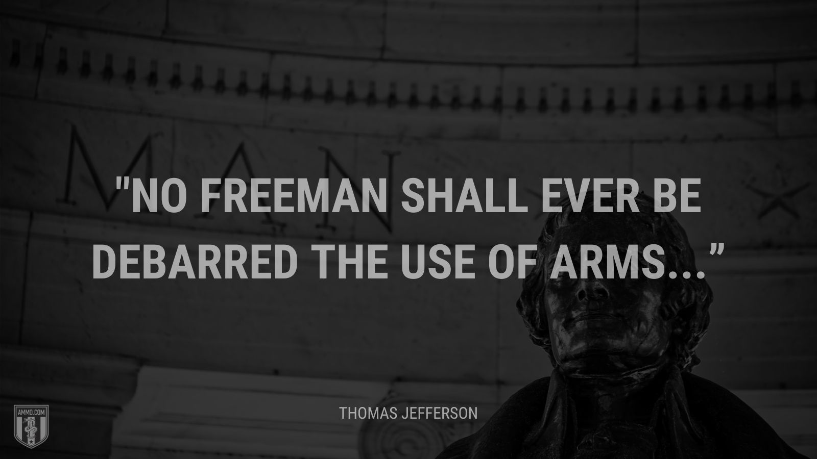 “No freeman shall ever be debarred the use of arms. ” - Thomas Jefferson