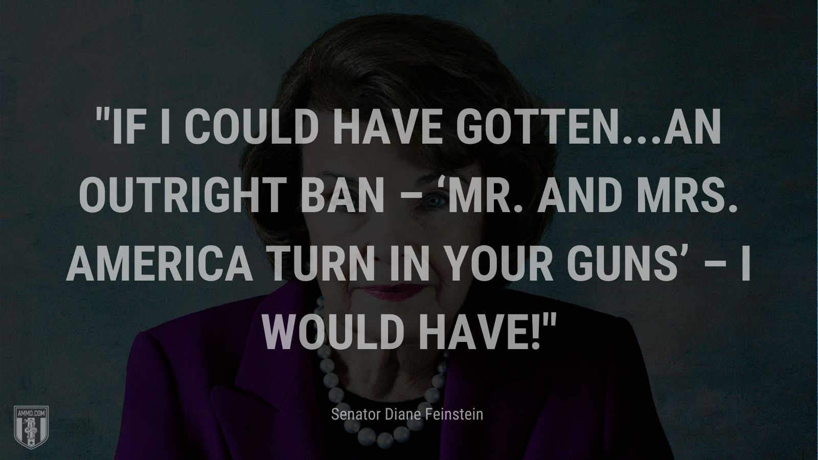 “If I could have gotten...an outright ban – ‘Mr. and Mrs. America turn in your guns’ – I would have!” -Senator Diane Feinstein