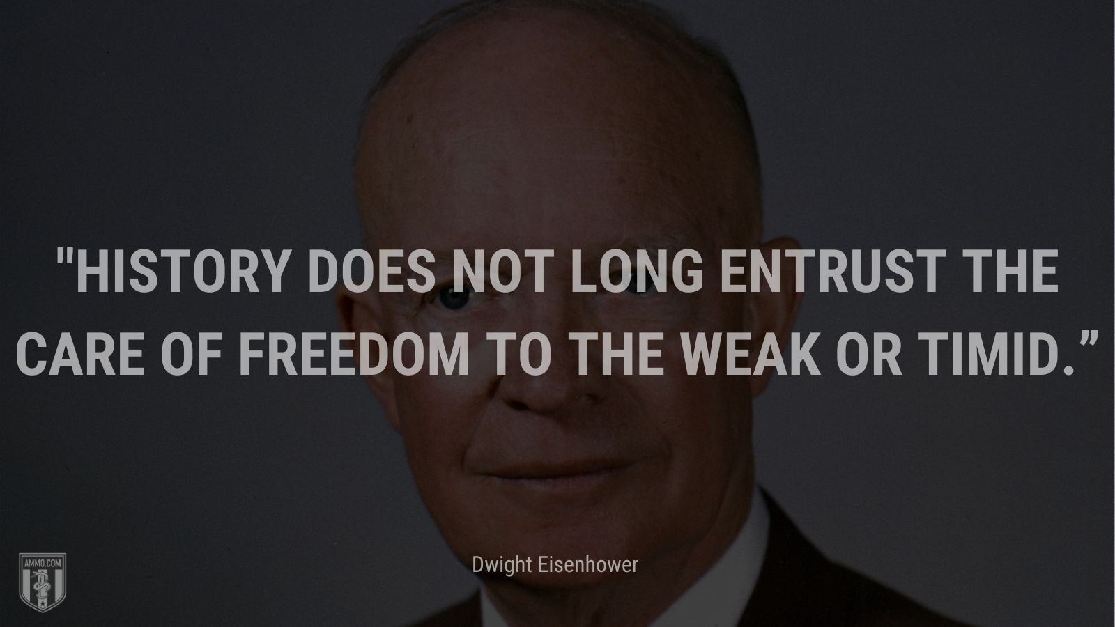 “History does not long entrust the care of freedom to the weak or timid.” - Dwight Eisenhower