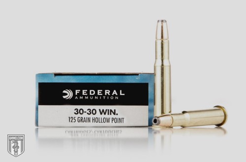 Hollow Point Ammo