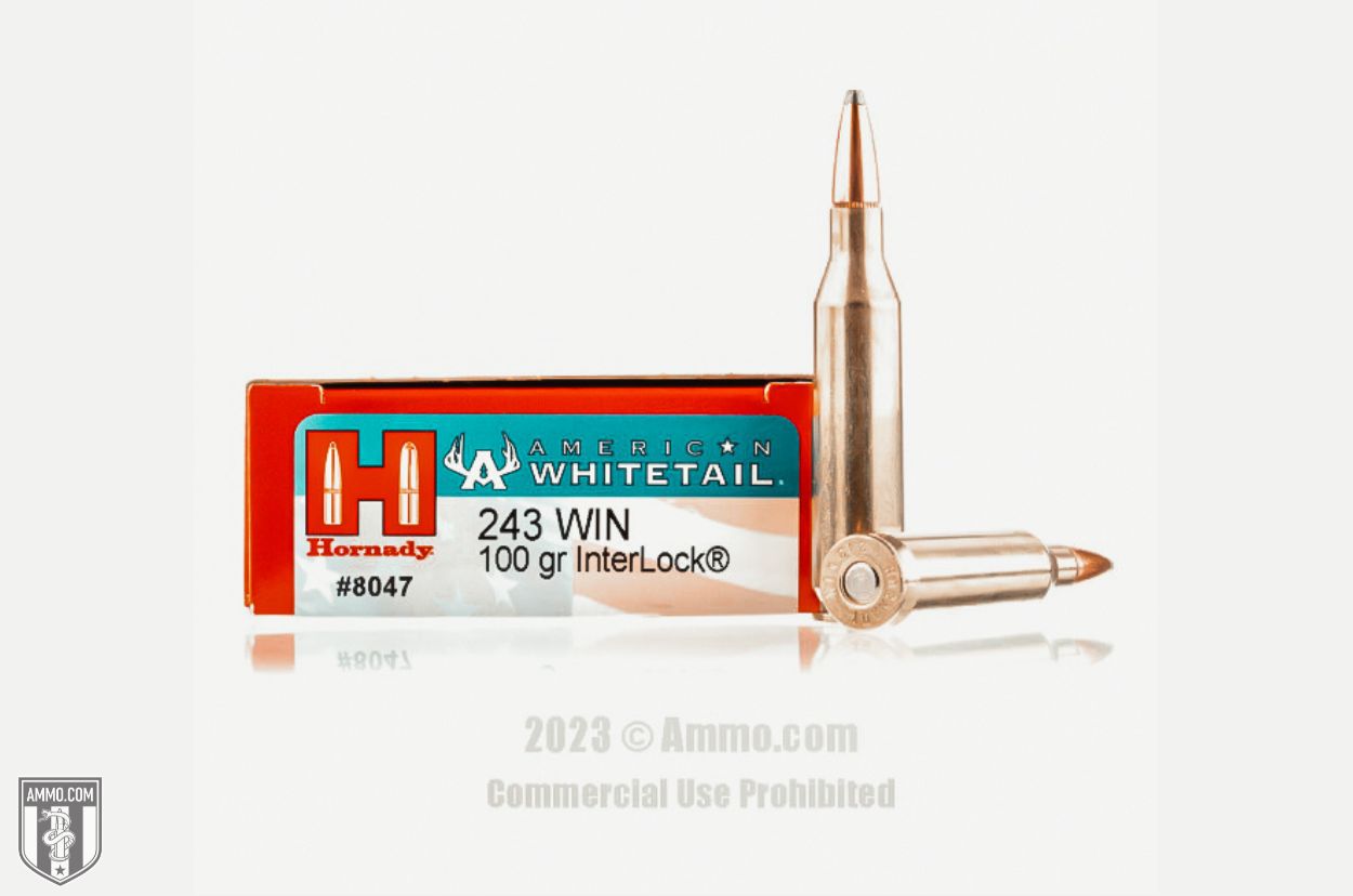 Hornady American Whitetail 243 Win ammo