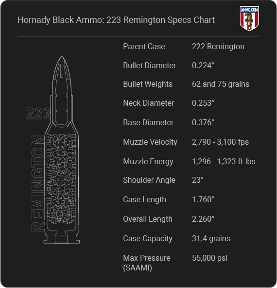 Product Evaluation: Hornady 75 gr. BTHP Match from Ammo.net