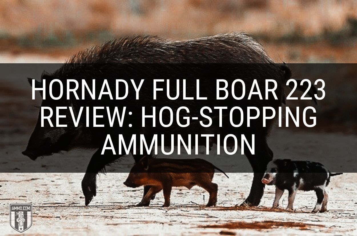 Hornady Full Boar 223 Review