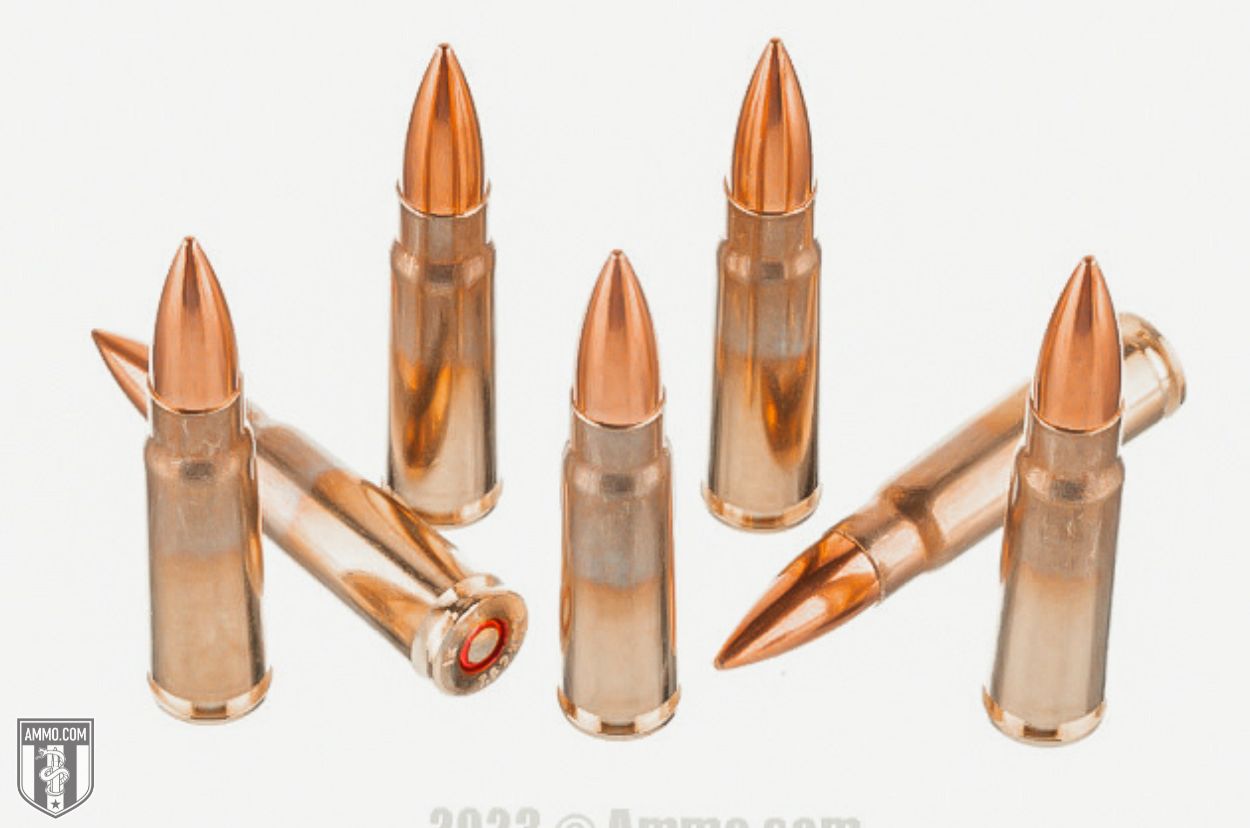 Hornady SST Review