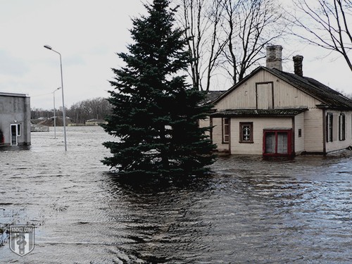 Flooding Preparedness: A Guide to Flood Survival