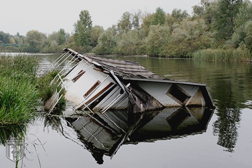 Flooding Preparedness: A Guide to Flood Survival