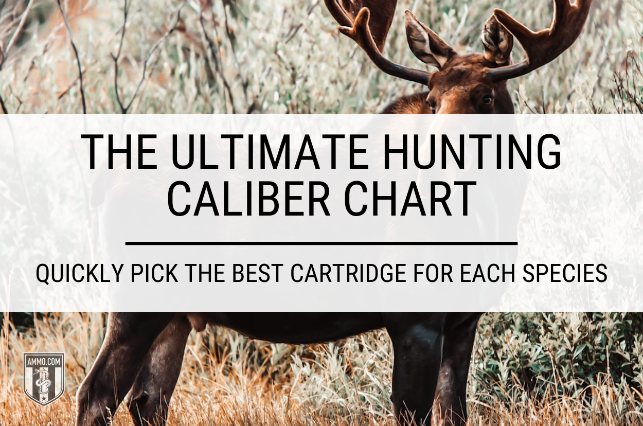 Hunting Caliber Chart Hero