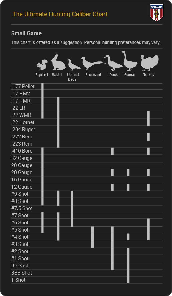 Hunting Caliber Chart - Small Game