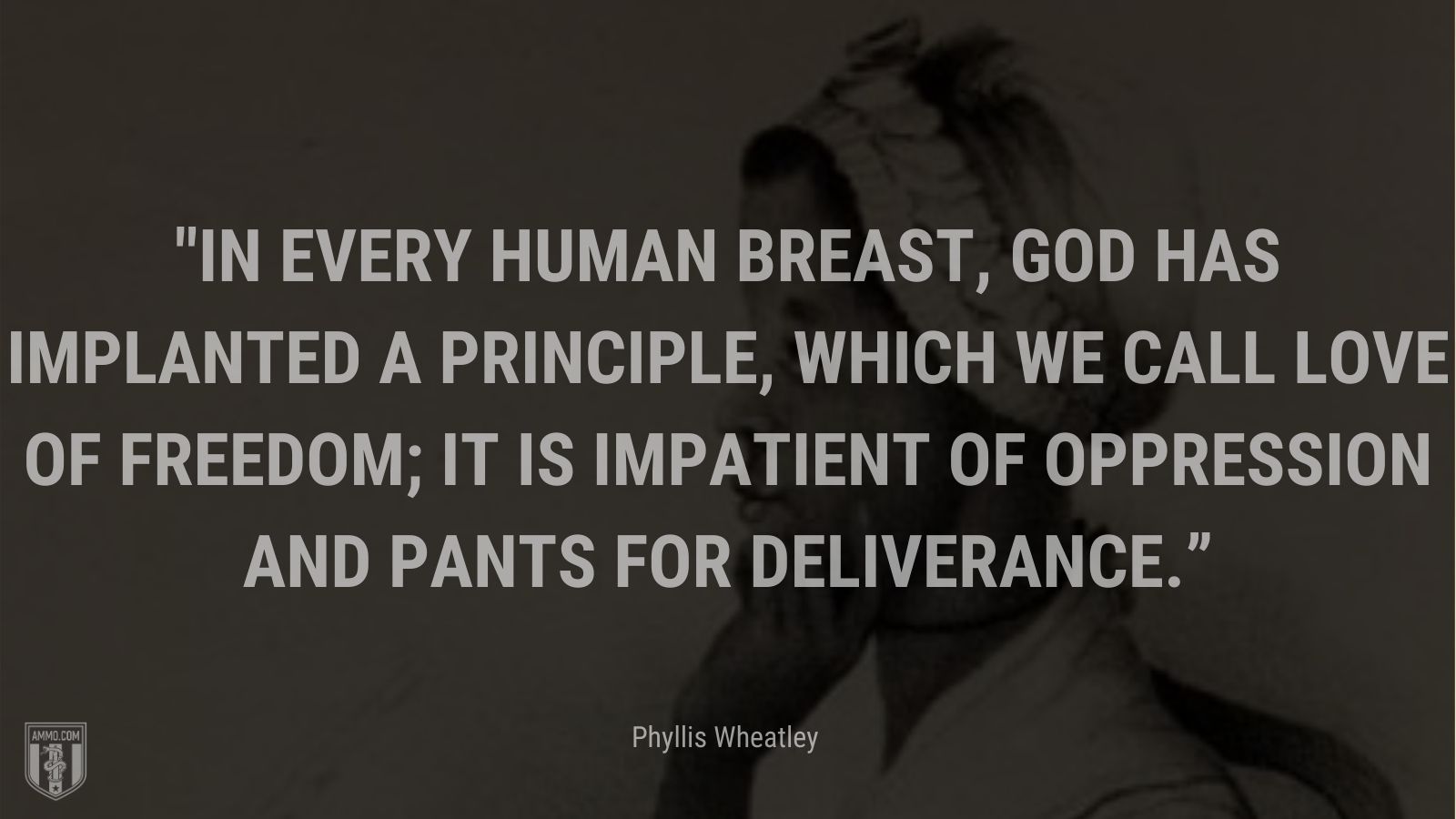 “In every human breast, God has implanted a principle, which we call love of freedom; it is impatient of oppression and pants for deliverance.” - Phyllis Wheatley