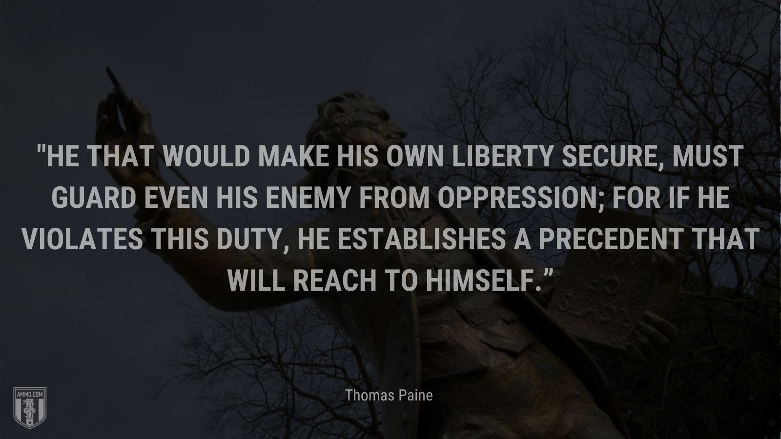 “He that would make his own liberty secure, must guard even his enemy from oppression; for if he violates this duty, he establishes a precedent that will reach to himself.” - Thomas Paine