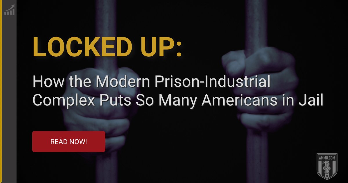 The Prison-Industrial Complex: How a Profiting Prison Industry is Disarming America
