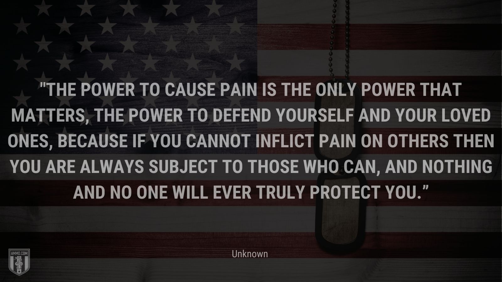 “The power to cause pain is the only power that matters, the power to defend yourself and your loved ones, because if you cannot inflict pain on others then you are always subject to those who can, and nothing and no one will ever truly protect you.” - Unknown