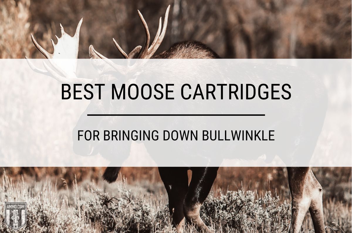Best Moose Cartridges