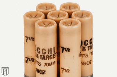 20 Gauge Shotgun Shells