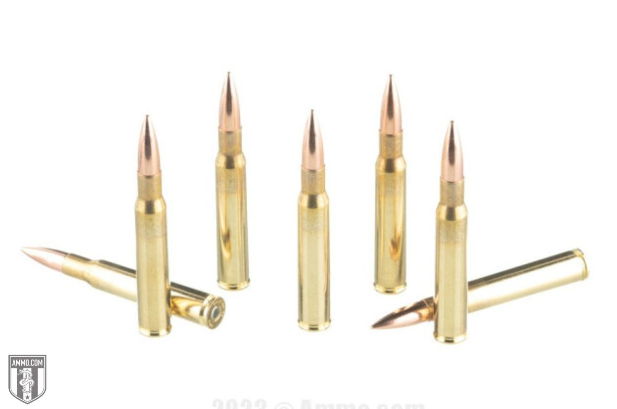 Norma Ammo Review: The Scandinavian Ammunition Connection