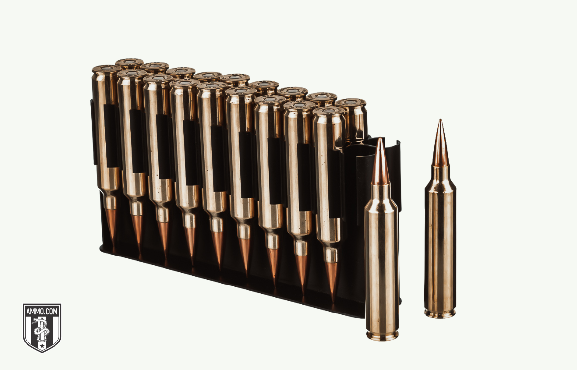 Image of 22 Nosler Bullets