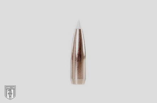 Nosler AccuBond Ammo