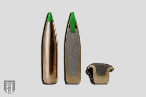 Nosler Ballistic Tip Ammo