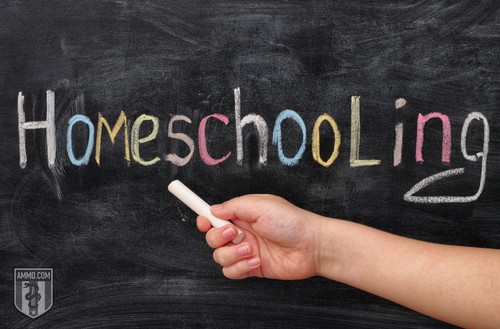 Parents Guide to Homeschooling