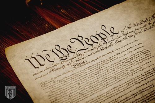We The People: A Parent's Guide to the United States Constitution